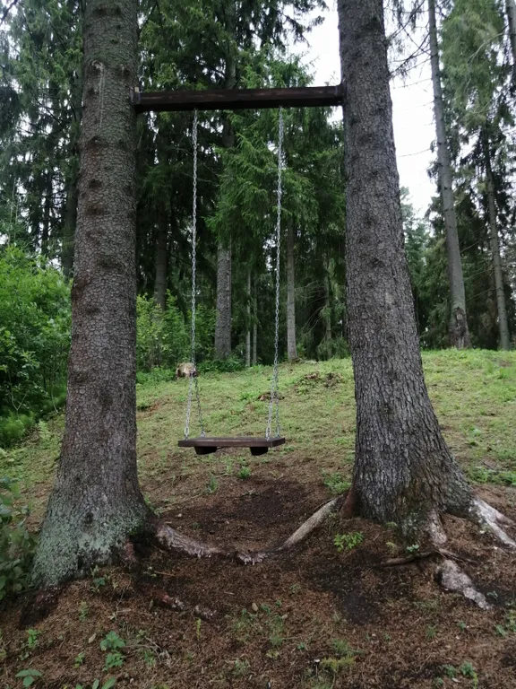 Коттедж Эко-домик для двоих — Сясьстрой