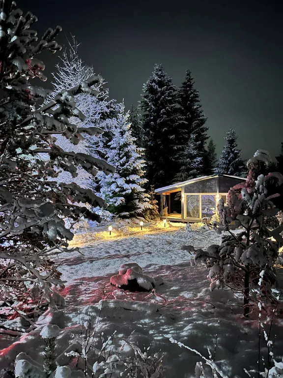 Панорамный дом в лесу