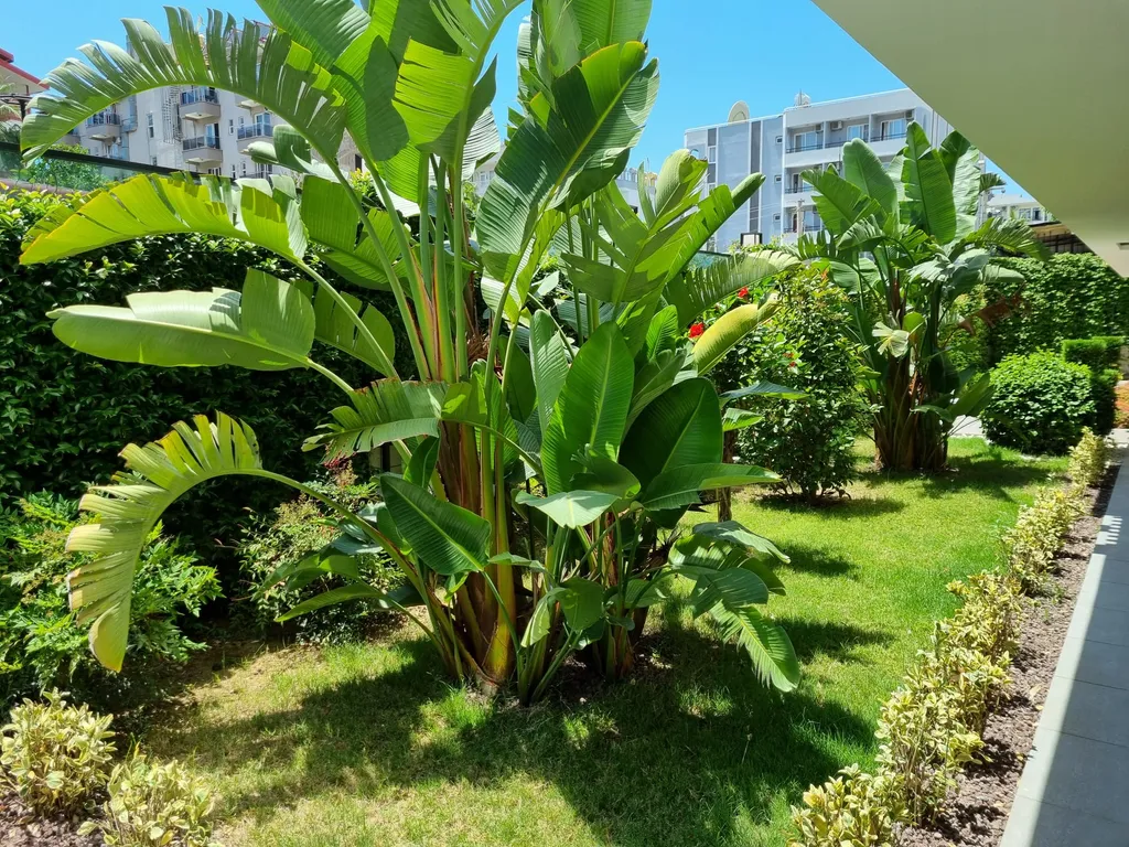 Роскошные апартаменты у пляжа Клеопатра