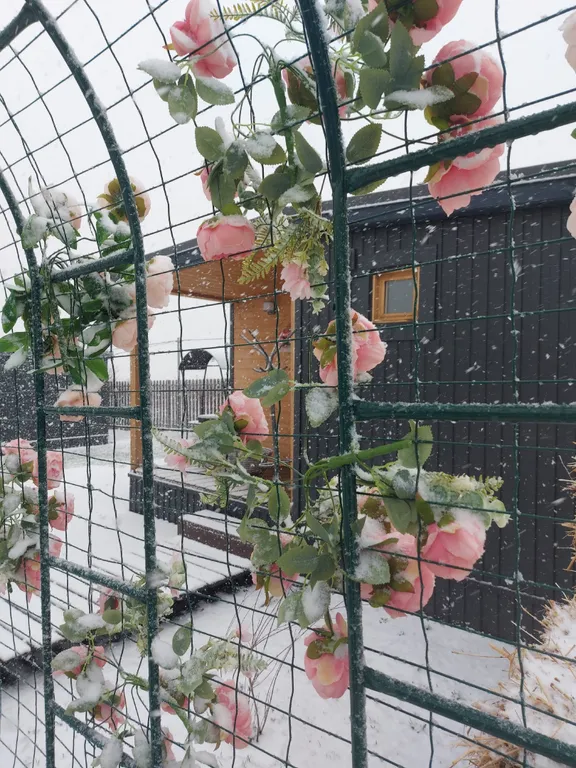 Дом вместимостью до 4 гостей в глэмпинге Улей