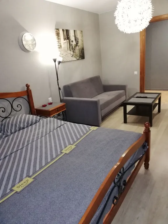 Однокомнатная квартира у Амфитеатра