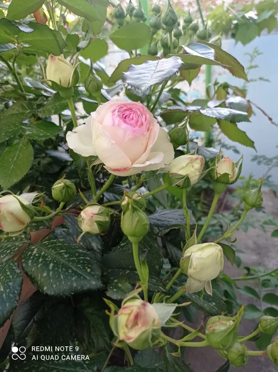 Квартира Номер Комфорт в частном секторе — Заозёрное