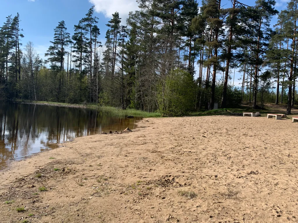 Коттедж Уютный современный дом в сосновом лесу у озера — Запорожское