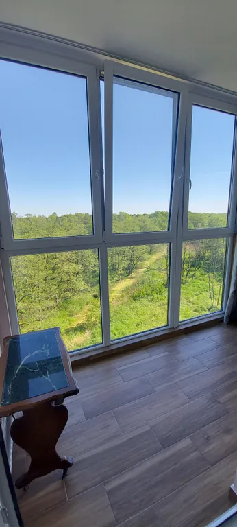 Лес и море рядом