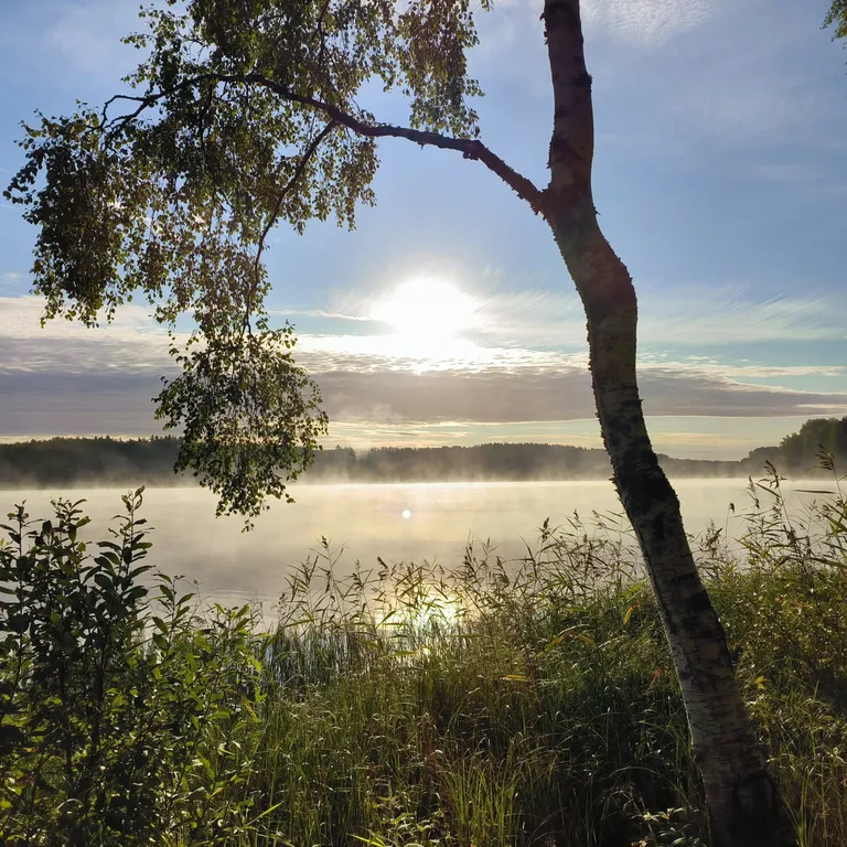 Дом на берегу озера с панорамным видом на лес