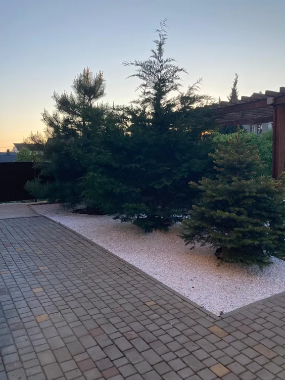 Сруб у моря