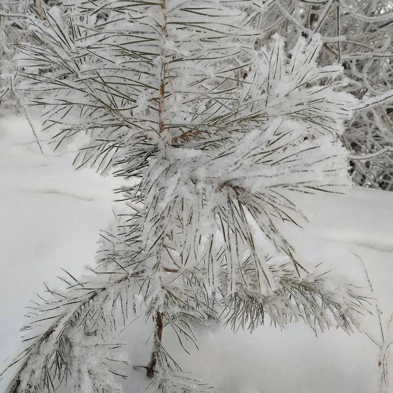 Уютный коттедж у реки