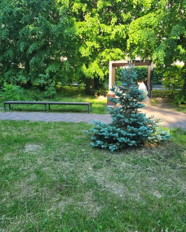 Квартира Квартира у моря — Светлогорск
