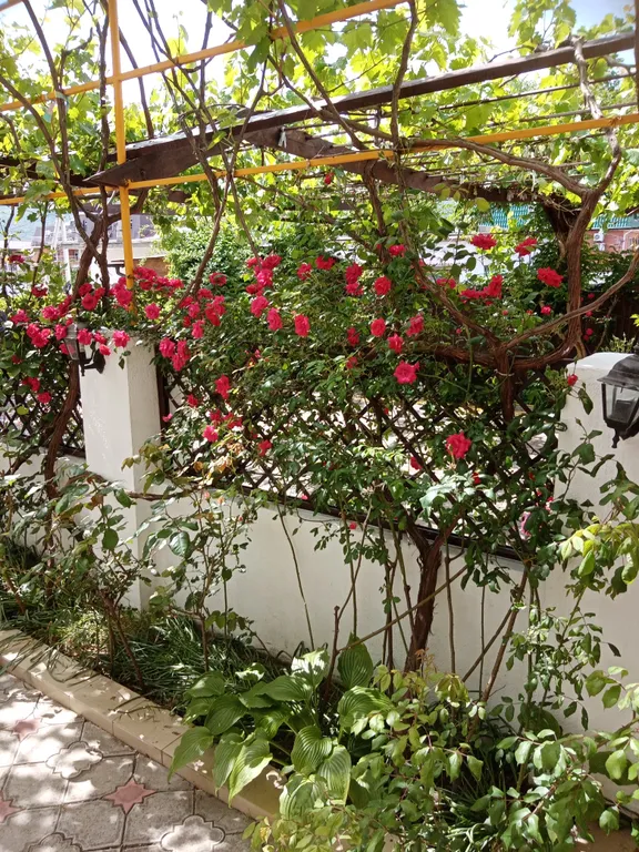 Семейная комната со всеми удобствами