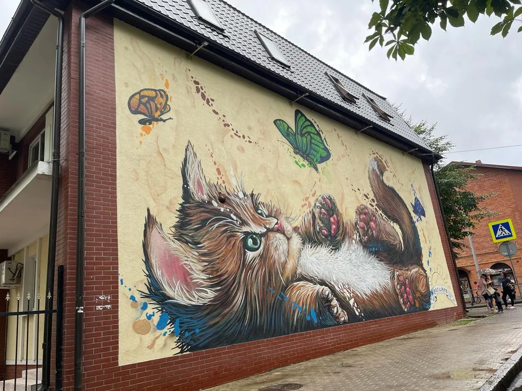 Одно из лучших размещений в Зеленоградске