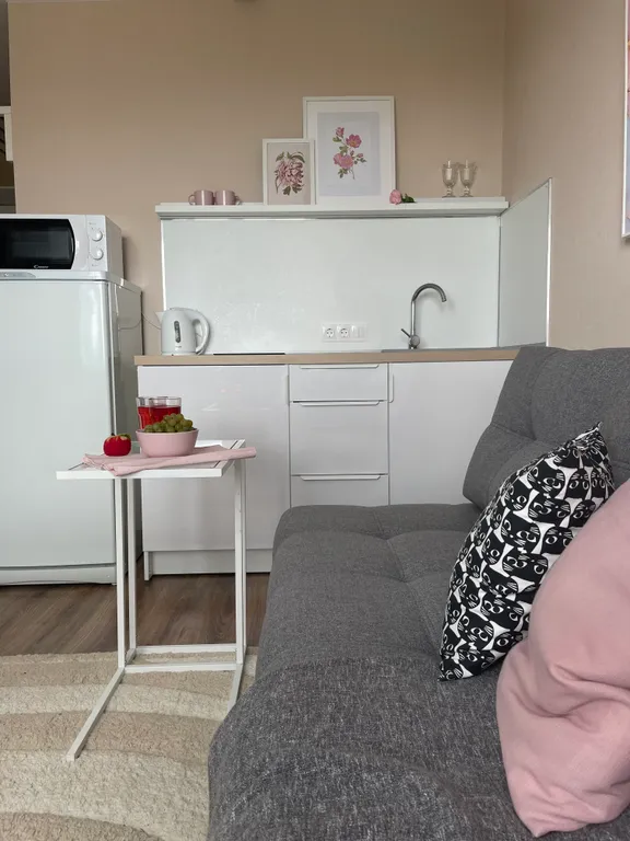 Студия с ванной и с панорамным видом Москвы