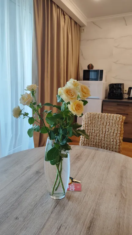 Квартира 1-комнатная Квартира — Светлогорск