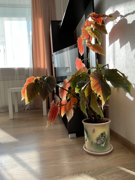 Апартаменты с видом на реку Каму