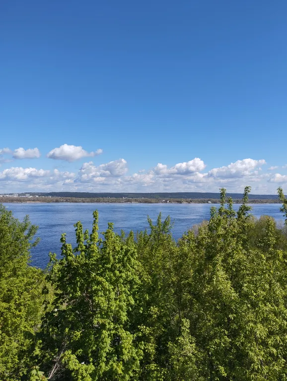 Номер с видом на Волгу и Жигулёвские горы