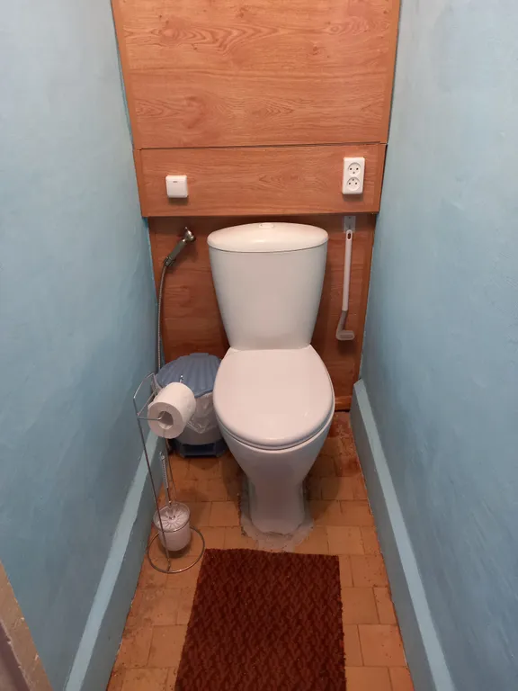 Рыбки-котики