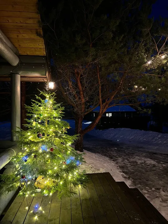 Дом на берегу реки в тихой деревне