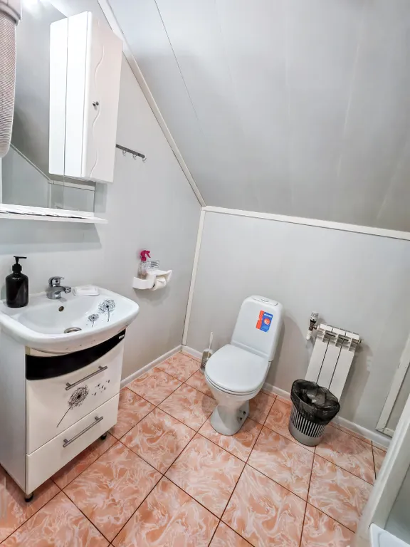 Коттедж 3-комнатный Дом — Калевала