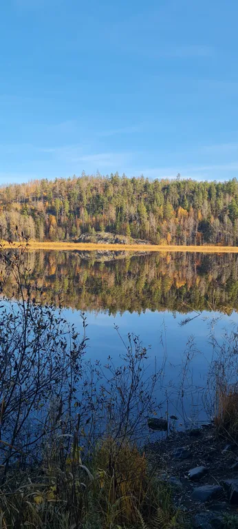 Загородный дом Погружение в себя