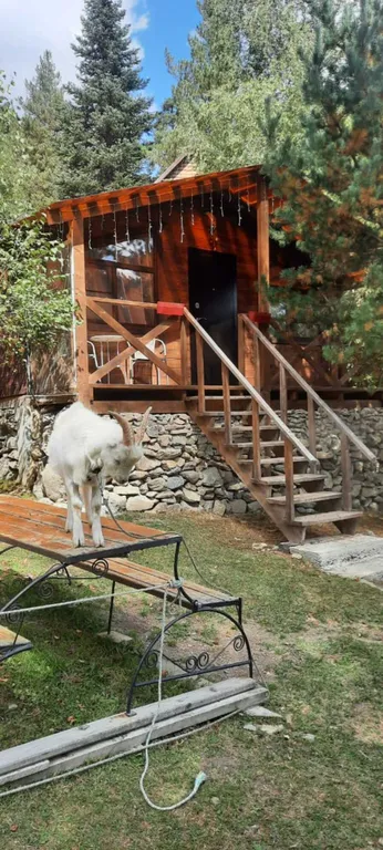 Коттедж 1-комнатный Дом — Архыз