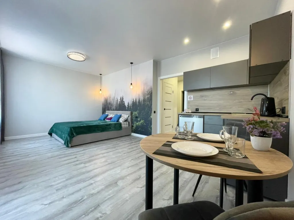 Квартира студия — аренда посуточно в Барнаул