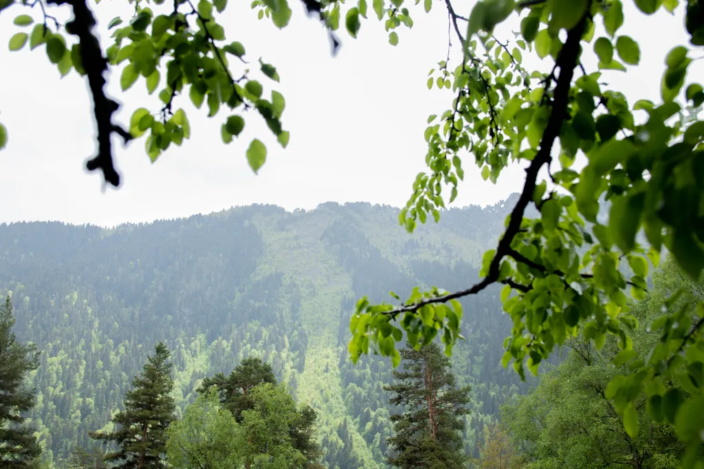 Гостевой дом Артур