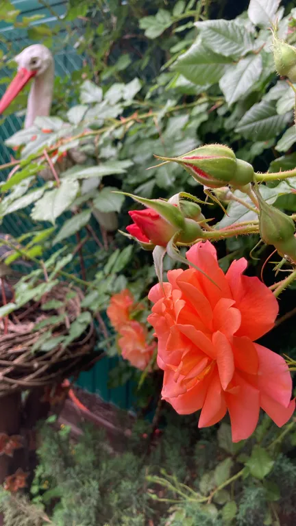 Уютная комната с балконом