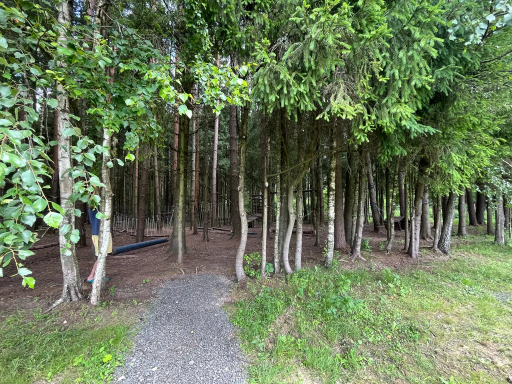 Стильный Барнхаус в окружении леса с сауной и сибирским банным чаном