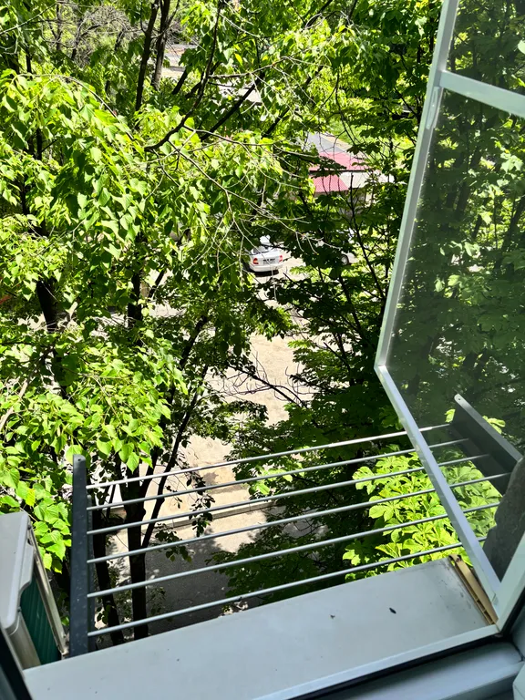 Уютная студия в центре города