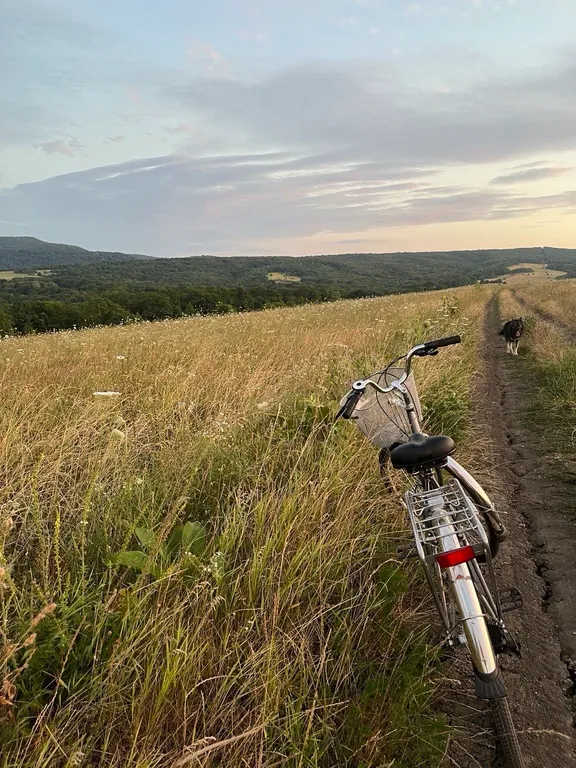 Коттедж Дизайнерский Барнхаус в природе Адыгеи — Новосвободная