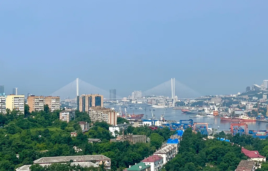 Квартира Просторная квартира с парковочным местом — Владивосток