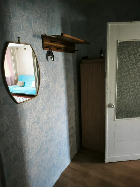 Чистая однокомнатная квартира в расширенном центре города