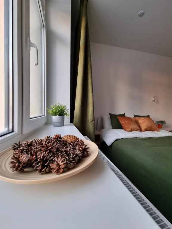 Комфортные апартаменты у озера