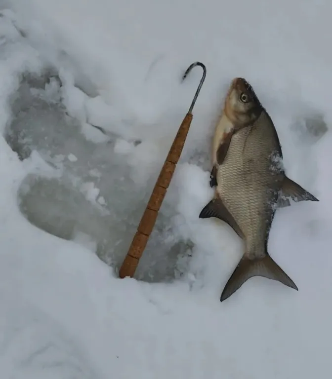 Дом с видом на Селигер