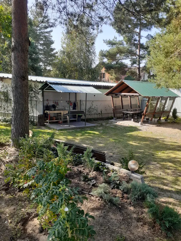 Дом под соснами