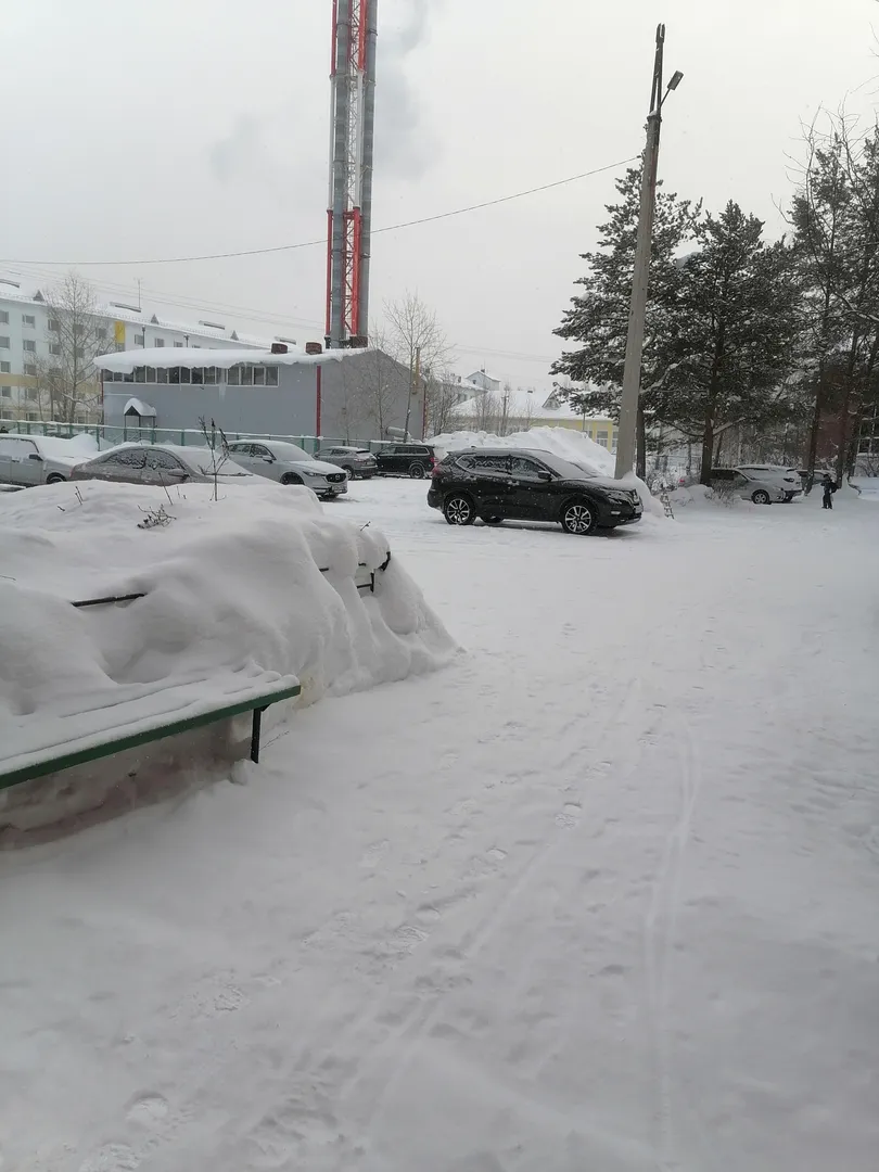 Вид из окна во двор