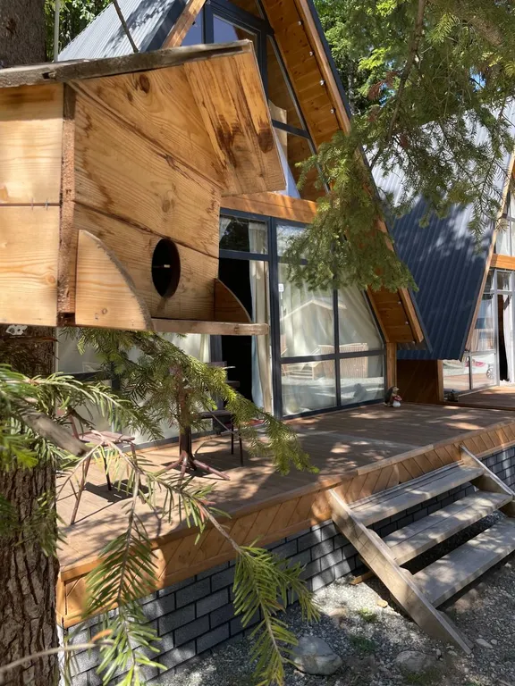 А-фрейм 1 с видом на горы и лес