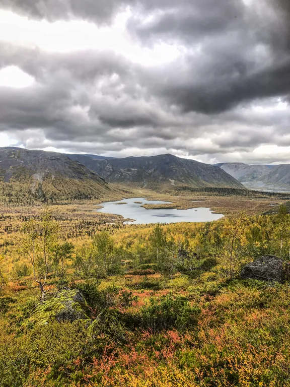 Добро-дом для лучших гостей
