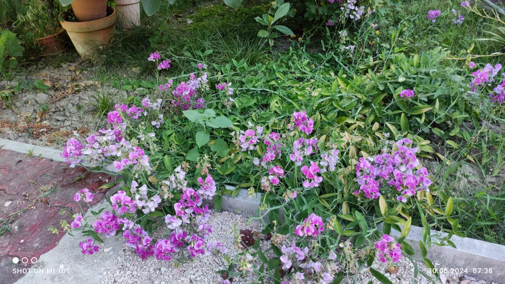 Коттедж Домик у реки — Сочи