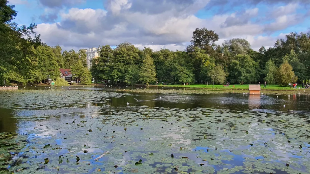 Квартира Апартаменты Park House рядом с морем и живописным парком — Зеленоградск