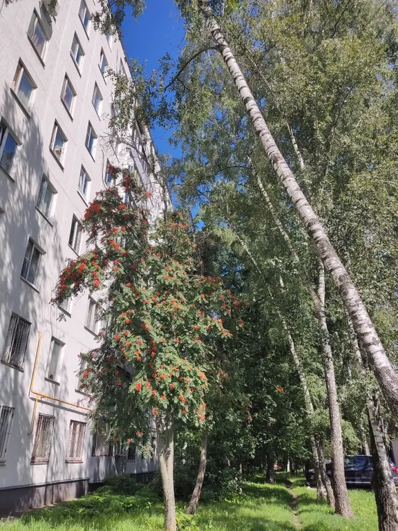 Квартира Уютная комната недалеко от центра — Москва