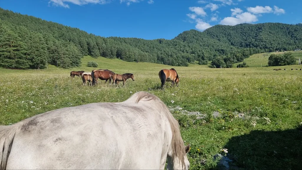 Тихий отдых в горах