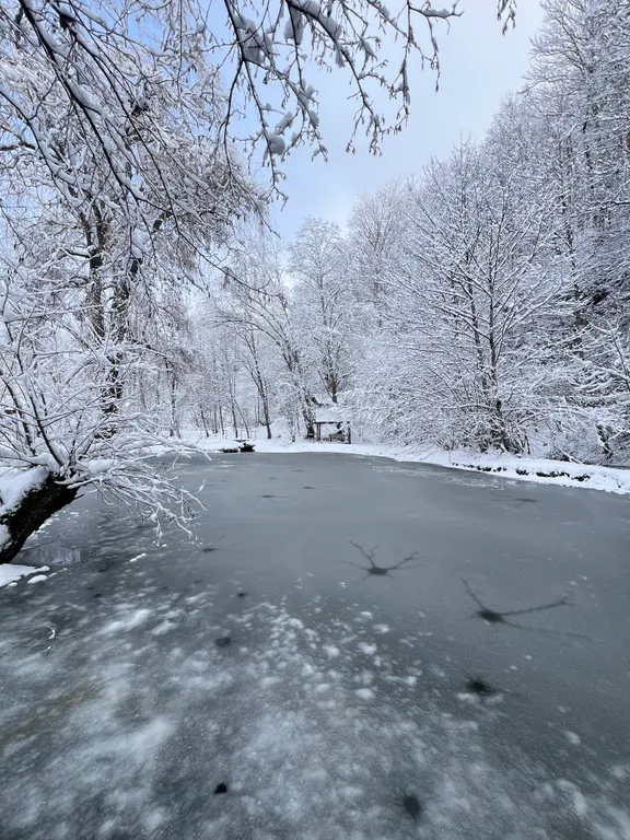Квартира Жилая комната на четверых в деревянном таунхаусе — Апшеронск
