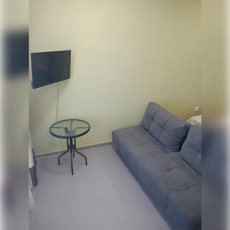 Студия +все удобства