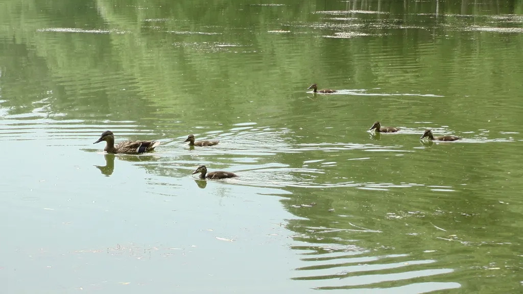 Студия на Московском проспекте (3)