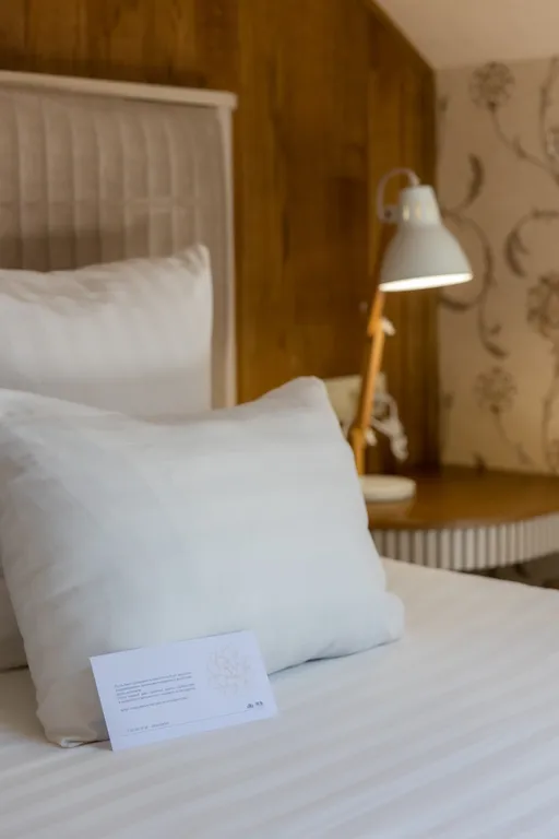 Люкс-мансарда № 5