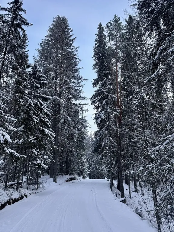 Уютный домик на берегу речки