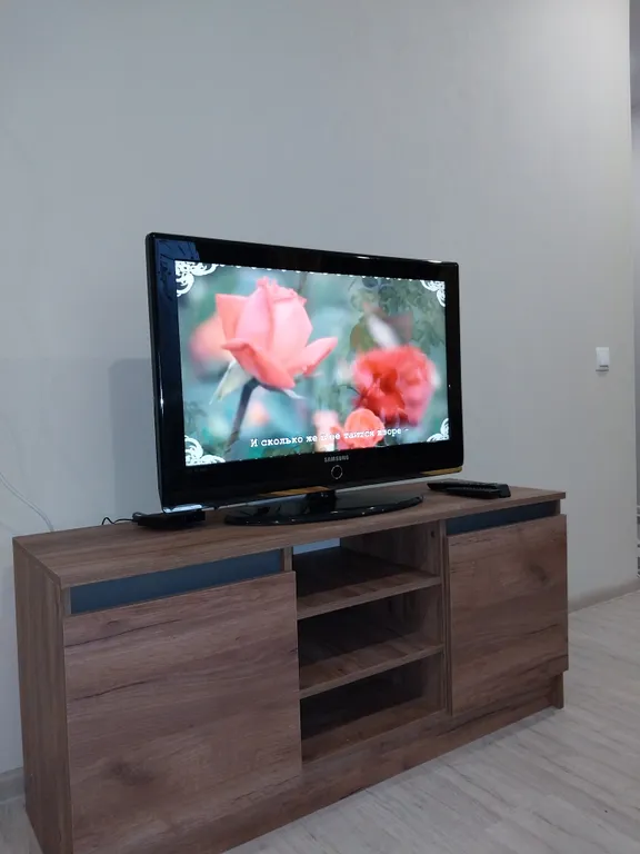 уютная двухкомнатная в тихом центре у университета