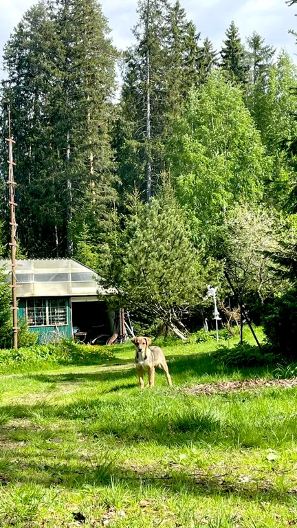 Гостевой дом Вуокса-хилл