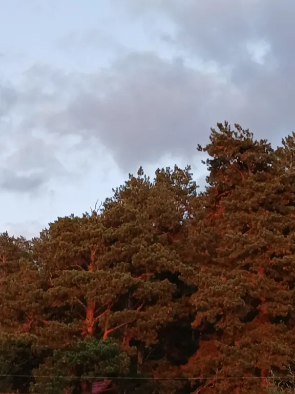 Домик у реки