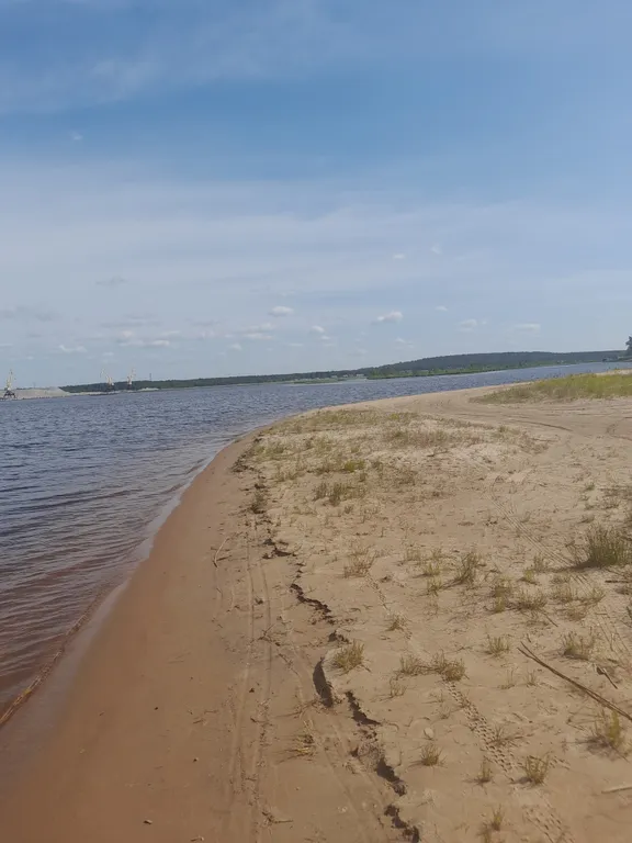 Квартира в сосновом бору